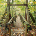 Laurel Loop Bridge at Prince William Forest Park