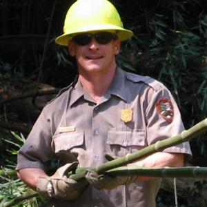 park ranger removing invasive plants